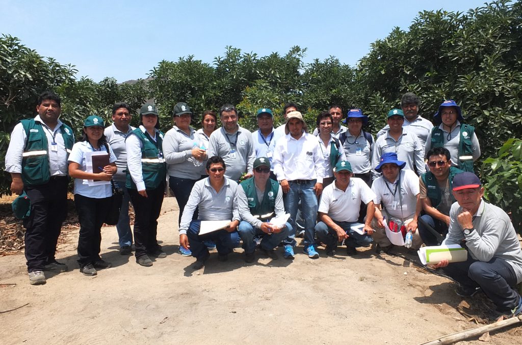 Senasa - Prácticas de campo de nueva certificación fitosanitaria