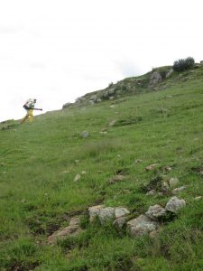Senasa mantiene bajo controla plaga de langostas en el Cusco