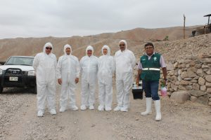 Senasa - Tacna y Moquegua fortalecen procedimientos contra la Peste Porcina Clásica