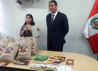 Ministerio de Agricultura y Riego fortalece acciones para reforestar 3,2 millones de hectáreas en Perú al 2020