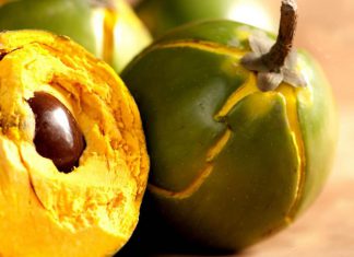 Polonia, un destino comercial con potencial inexplorado