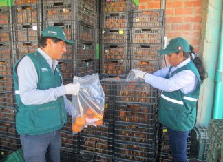 Senasa capacita en inocuidad a pequeños y medianos productores