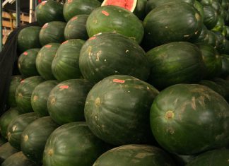 Perú exportó más de 1.5 millones de kilos de sandía fresca