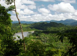 Agrobanco impulsa mecanismos orientados a promover créditos verdes