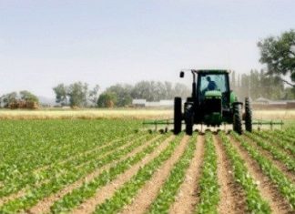 Los precios agrícolas seguirán bajos al persistir excedentes