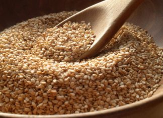 Senasa establece requisitos fitosanitarios para importación de semillas de ajonjolí de Japón