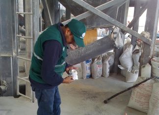 Arequipa: Senasa refuerza acciones de cuarentena y vigilancia fitosanitaria