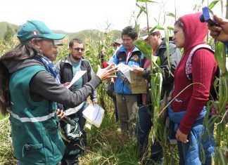 Senasa y municipalidades implementarán acciones para fortalecer la Sanidad Vegetal