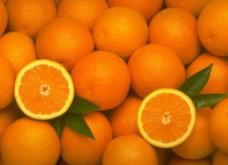 MIDAGRI: SENASA concreta acuerdo para la exportación de uva de mesa y cítricos al mercado de Argentina