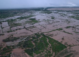 Gobierno alista ampliación de seguro agrario con cobertura al 100%