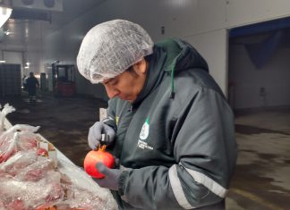 Ica: Senasa certifica primer envío de granada peruana de exportación a Ucrania