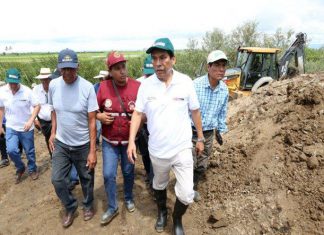 Minagri: Cobertura de Seguro Agrario Catastrófico se expandirá a todo el país