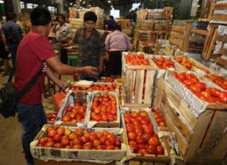 En primer trimestre ingresaron más de 418 mil toneladas de alimentos al mayorista