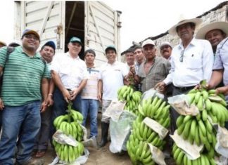 Minagri: Lluvias en Piura no afectaron productos de agroexportación