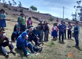 Senasa y productores intensifican acciones para el control de roedores en Apurímac