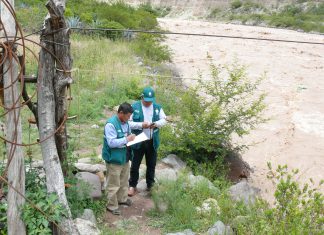 Huancavelica: Senasa mantiene vigilancia fito y zoosanitaria ante incremento de lluvias
