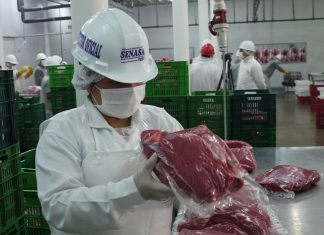 Senasa asegura que carne adulterada de Brasil no llegó al Perú