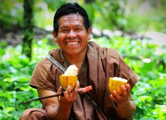 Minagri declara de interés a Simposio sobre Investigación Cacaotera