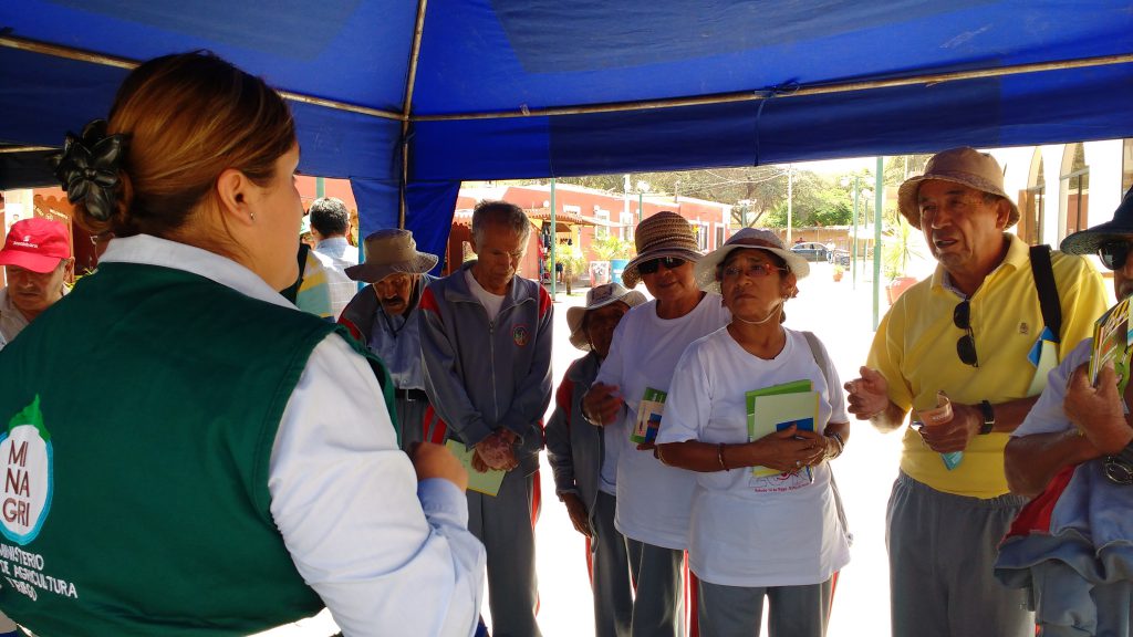 Senasa fomenta buenas prácticas de producción e higiene en Ica