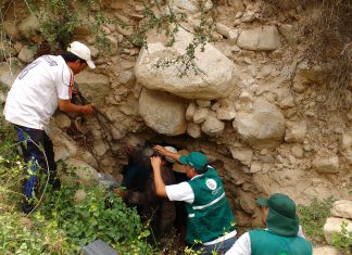 Senasa: Vigilancia de rabia en zonas altoandinas de Ica afectadas por las lluvias