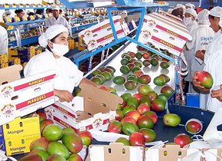 Agroexportaciones peruanas cayeron 6.3% en valor durante el primer trimestre del 2017