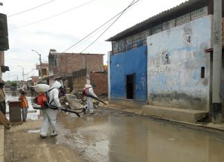Piura: MINAGRI apoya en fumigación contra mosquito que causa dengue