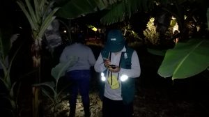 Senasa - Monitoreo nocturno para evaluar plaga del caracol gigante africano