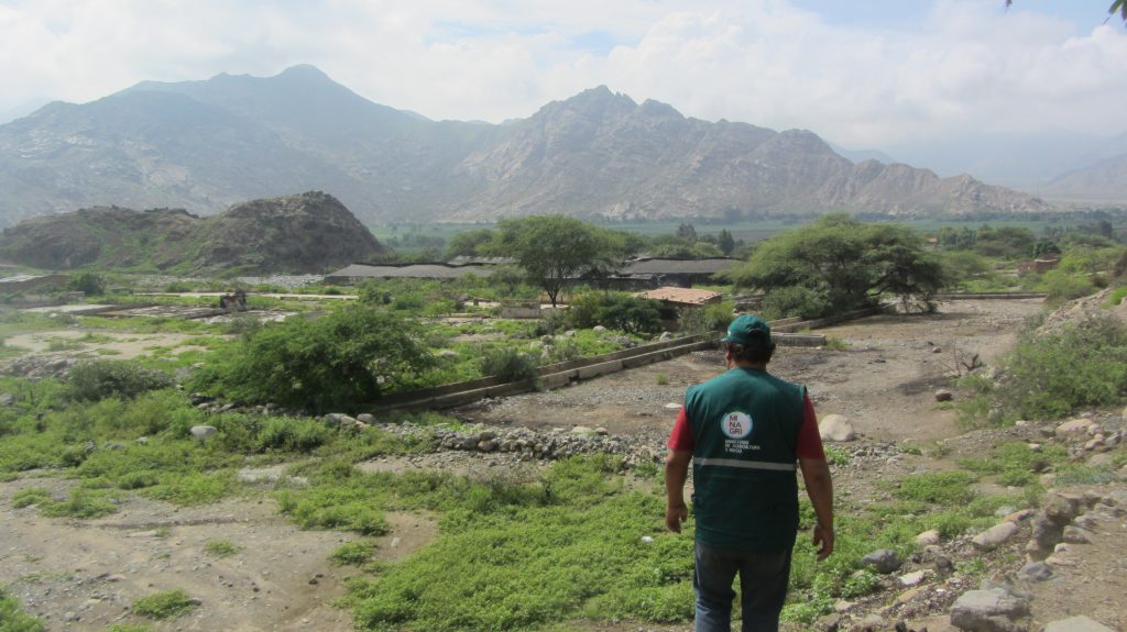 Senasa intensifica vigilancia epidemiológica en zonas afectadas por inundaciones