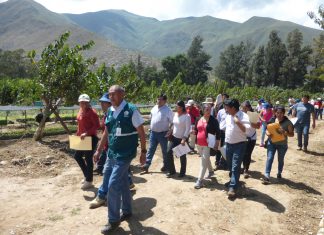 Huánuco: Orientación a gobiernos locales y regionales para cumplimiento de programa de incentivos
