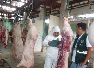 Senasa: Inspección inopinada al matadero de Tingo María