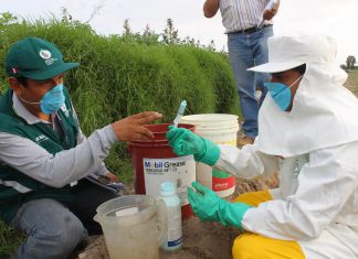 Arequipa: Senasa supervisa eficacia de plaguicidas de uso agrícola