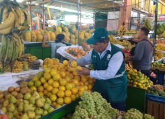 Senasa: Inspección de frutos en mercados de Tacna