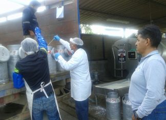 Tacna: Acciones del Senasa para mantener el área libre de Brucelosis Bovina