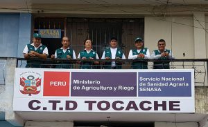 Senasa intensifica acciones sanitarias en Tocache