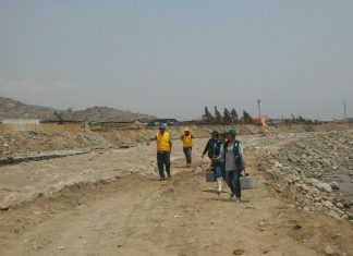 Senasa: Vacunación contra enfermedad de Newcastle en zonas afectadas por huaicos en Sayán