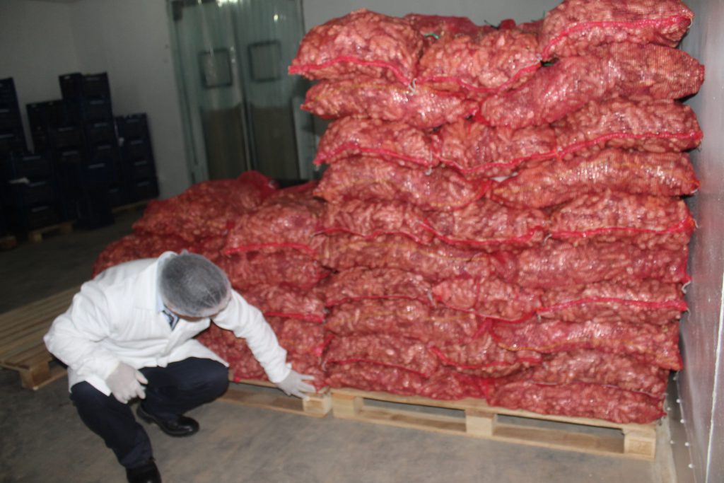 Senasa certifica más de 200 toneladas de kion con destino a mercados internacionales