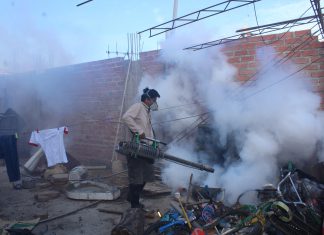 Senasa apoya en labores de fumigación para prevenir dengue y otras enfermedades