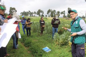 Senasa brindará asistencia técnica a municipios en Junín