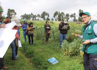 Senasa brindará asistencia técnica a municipios en Junín