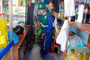Senasa inicia fumigación contra mosquitos en Áncash