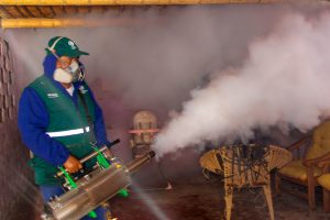 Senasa inicia fumigación contra mosquitos en Áncash