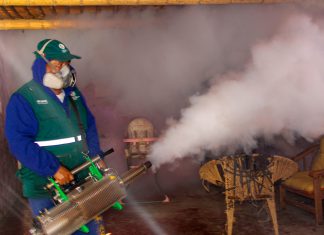 MINAGRI-Senasa: Se inicia fumigación contra mosquitos en Áncash