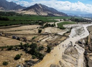 Lluvias: ¿Qué oportunidades generan para el agro local?