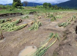 MEF destina S/ 40.2 millones para mejorar infraestructura agraria