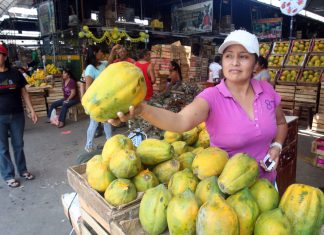 Minagri trabajará para duplicar el consumo de frutas y verduras en el país