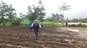 DEFENSA CIVIL DEL GOBIERNO REGIONAL DE LA LIBERTAD INFORMÓ QUE COPIOSAS LLUVIAS OCASIONARON EL INCREMENTO DEL CAUDAL DE RÍOS ARRASANDO CULTIVOS E INUNDANDO CARRETERAS EN LA REGIÓN LA,LIBERTAD. TAMBIÉN HUBO DESPRENDIMIENTO DE PIEDRAS.