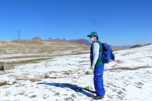 Senasa refuerza vigilancia fito y zoosanitaria en Huancavelica