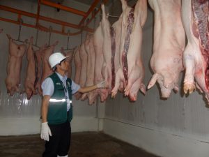 Senasa inspecciona matadero para autorización de funcionamiento