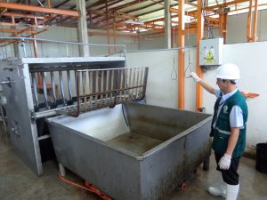 Senasa inspecciona matadero para autorización de funcionamiento