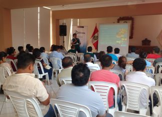 Productores de Ica esperan con expectativa inicio de campaña de cítricos